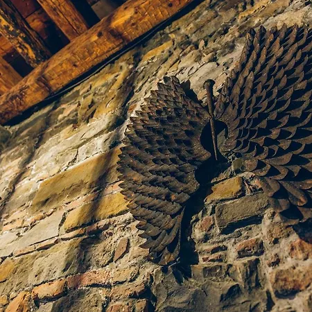 Aquila D'oro Πανσιόν Τεργέστη